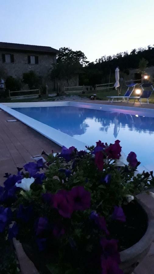 Mercatale  Agriturismo Vista Soleヴィラ エクステリア 写真
