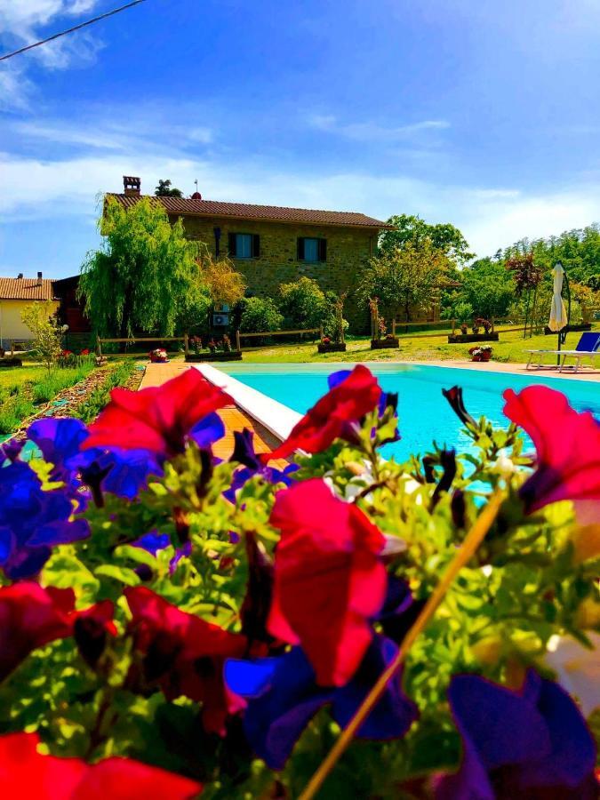 Mercatale  Agriturismo Vista Soleヴィラ エクステリア 写真